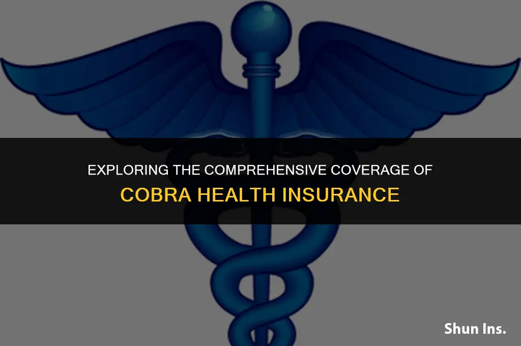 what does cobra health insurance cover