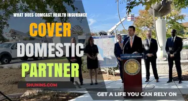 Comcast Health Insurance: Domestic Partner Coverage Explained