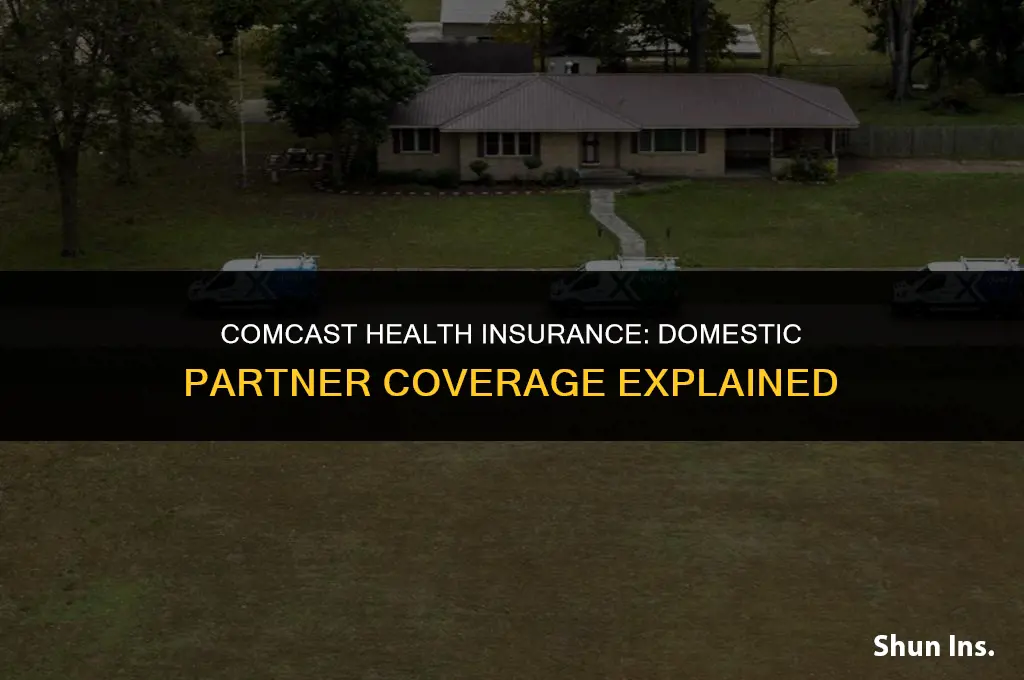 what does comcast health insurance cover domestic partner