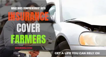 Farmers' Comprehensive Auto Insurance: What's Covered and What's Not