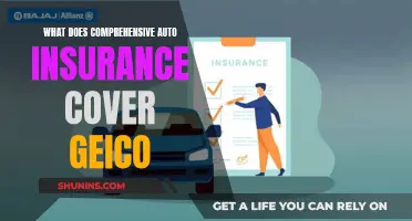 Auto Insurance Coverage: Understanding GEICO's Comprehensive Plan