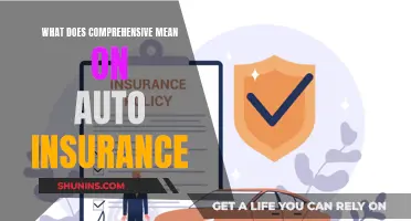 Comprehensive Auto Insurance: What's Covered?