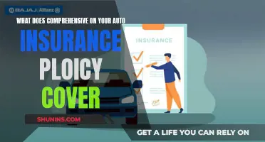 Understanding Comprehensive Auto Insurance Coverage: What's Included?