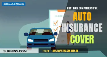 Auto Insurance: Comprehensive Coverage Explained in Simple Terms