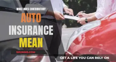 Understanding Contributory Auto Insurance: What Does It Mean?