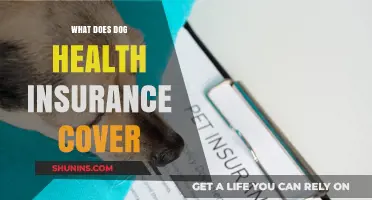 Understanding Dog Health Insurance: What's Covered and What's Not