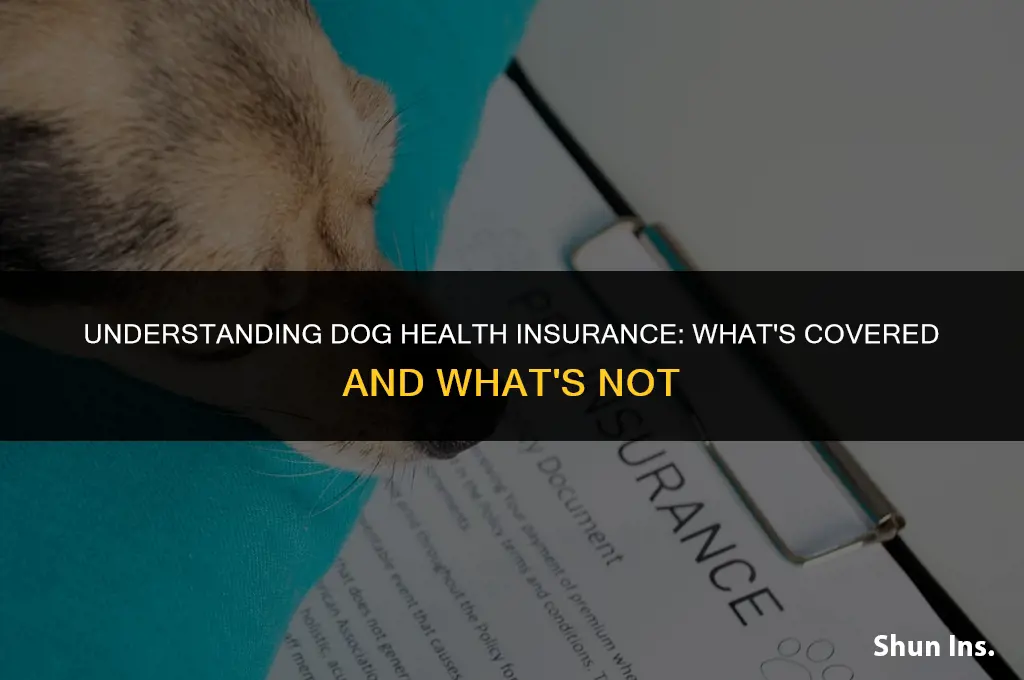 what does dog health insurance cover