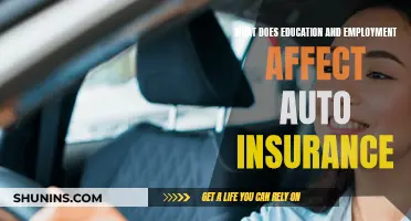 Education and Employment: Auto Insurance Impact Factors