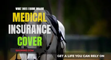 Equine Major Medical Insurance: What's Covered and What's Not
