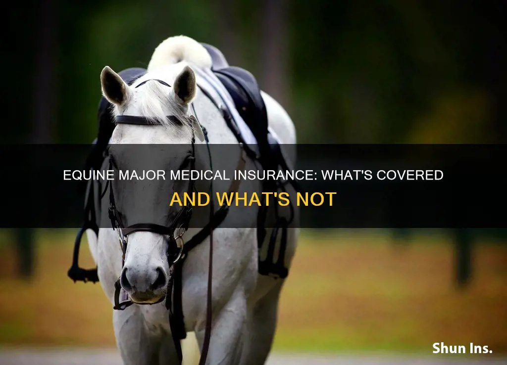 what does equine major medical insurance cover