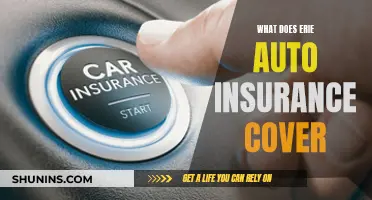 Erie Auto Insurance: What's Covered and What's Not?