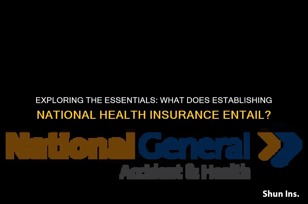 what does establishing national health insurance entail