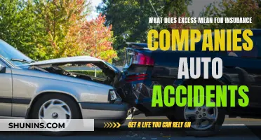 Understanding Excess: Auto Insurance Claims Explained