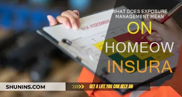 Understanding Exposure Management in Homeowners Insurance