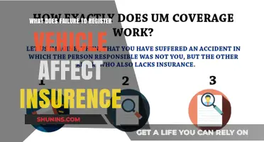 Vehicle Registration: Insurance Impact of Non-Compliance