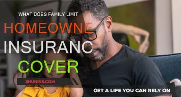 Homeowners Insurance: What's Covered for Your Family?