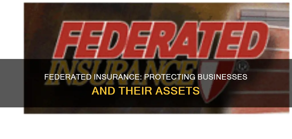 what does federated insurance do