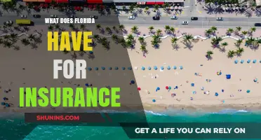 Florida's Insurance Options: What You Need to Know