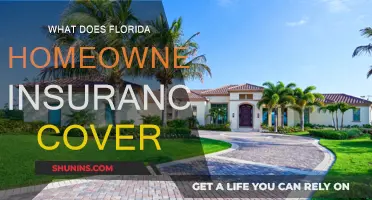 Florida Home Insurance: What's Covered and What's Not