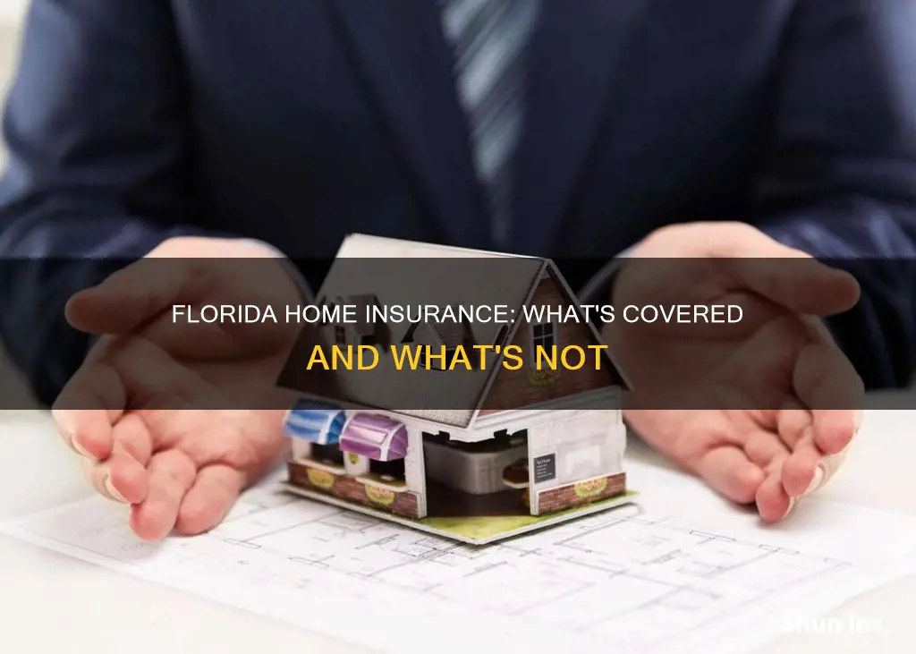 what does florida homeowners insurance cover