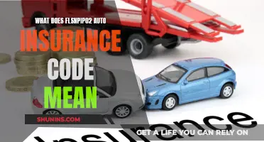 Understanding FLSNPIP02: Auto Insurance Code Explained