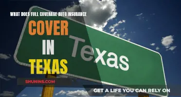 Full Auto Insurance Coverage: What Texans Need to Know