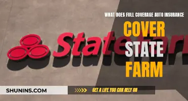 Full Coverage Auto Insurance: State Farm Explained