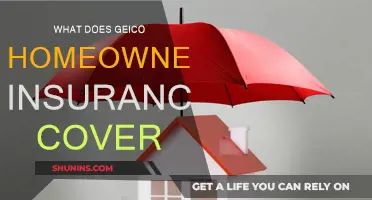 GEICO Home Insurance: What's Covered and What's Not