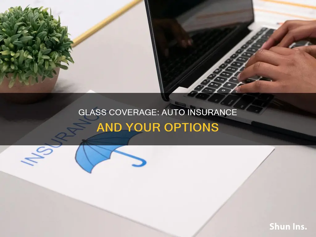 what does glass come under in auto insurance