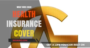 Unlocking the Benefits: What Gold Health Insurance Covers