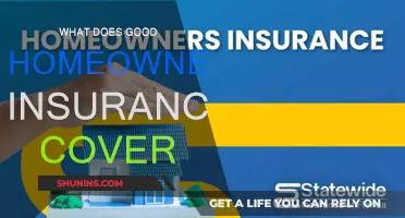 Homeowners Insurance: What Does a Good Policy Cover?