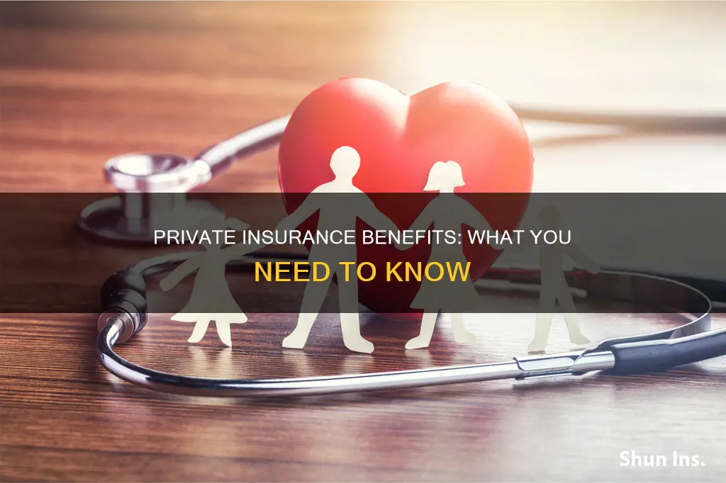 what does having private insurance do