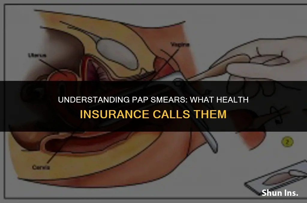 what does health insurance call pap smears