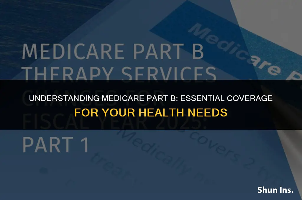 what does health insurance part b cover