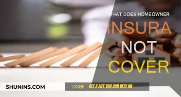 Homeowner Insurance: What's Not Covered and Why