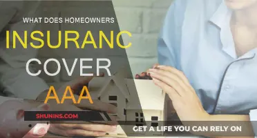 Homeowners Insurance: What Does AAA Cover?