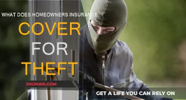 Theft and Home Insurance: What's Covered?