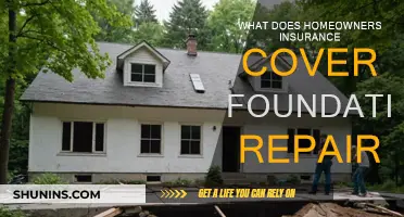 Homeowners Insurance: Foundation Repair Coverage Explained
