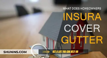 Gutter Damage: What Homeowners Insurance Covers