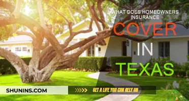 Texas Homeowners Insurance: What's Covered?