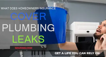 Plumbing Leaks: Are You Covered by Homeowners Insurance?