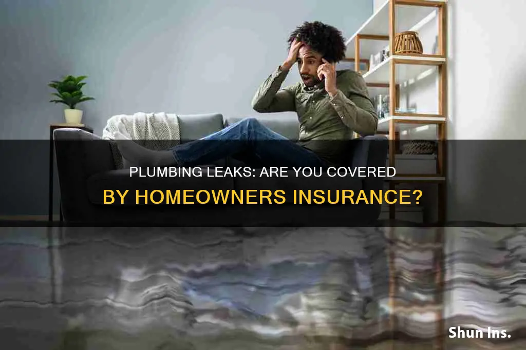 what does homeowners insurance cover plumbing leaks