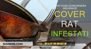 Homeowners Insurance: Coverage for Rat Infestations?