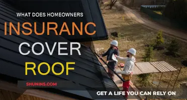 Homeowners Insurance: What's Covered for Your Roof?