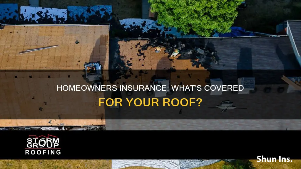 what does homeowners insurance cover roof
