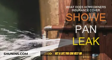 Homeowners Insurance: Shower Pan Leak Coverage Explained