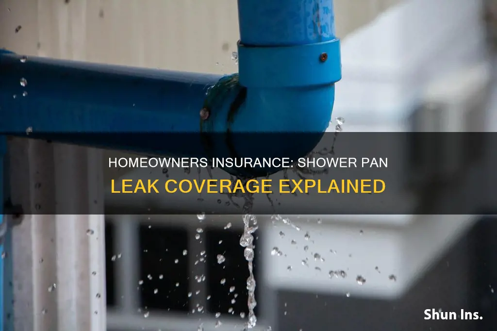 what does homeowners insurance cover shower pan leak