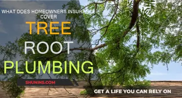 Homeowners Insurance: Tree Roots and Plumbing Damage Covered?