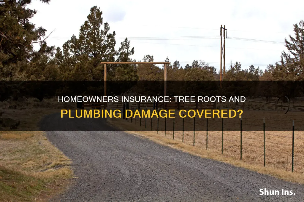 what does homeowners insurance cover tree root plumbing