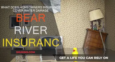 Homeowners Insurance: Water Damage Coverage with Bear River